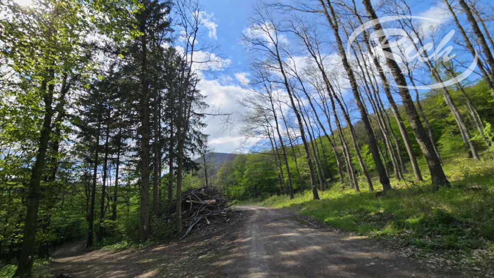 Ponúkame les na predaj okres Lučenec, Stredné Slovensko