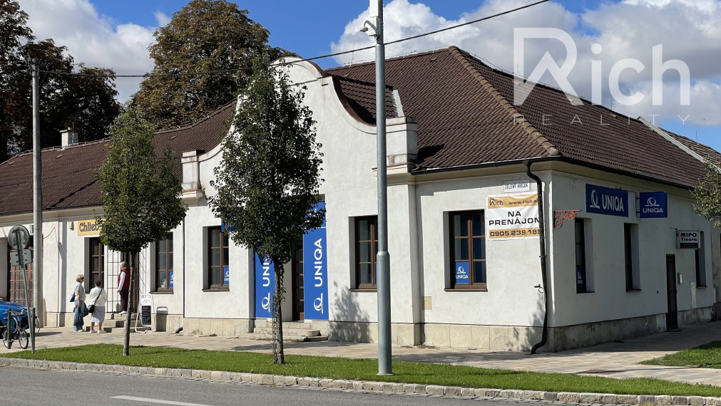 Lukratívny nebytový priestor v centre Trnavy , Zelený kríček