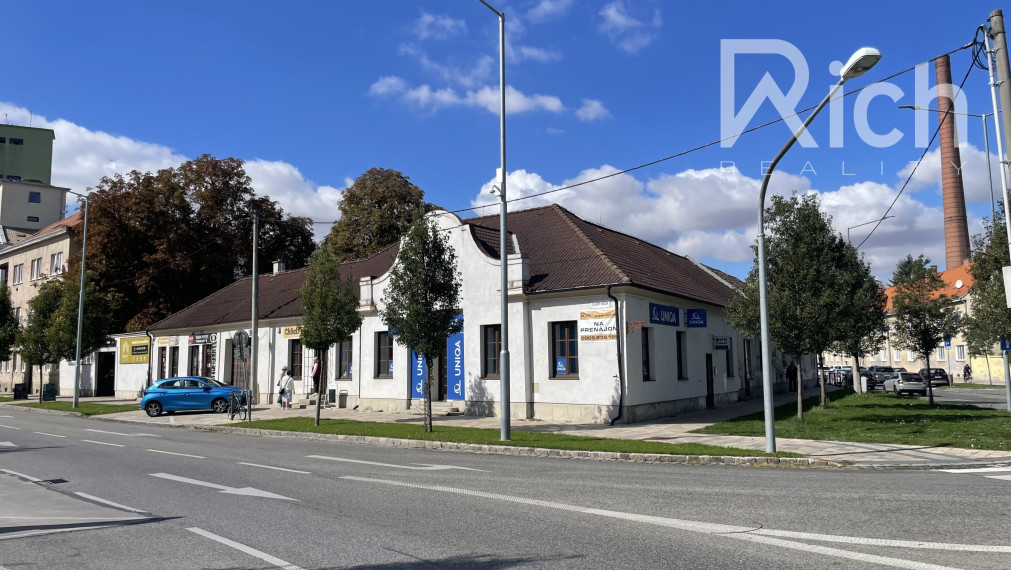 Lukratívny nebytový priestor v centre Trnavy , Zelený kríček