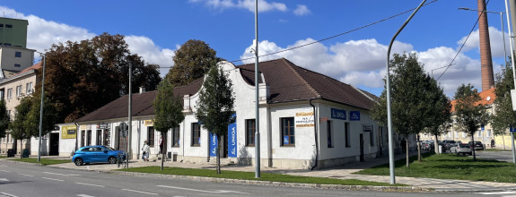 Lukratívny nebytový priestor v centre Trnavy , Zelený kríček