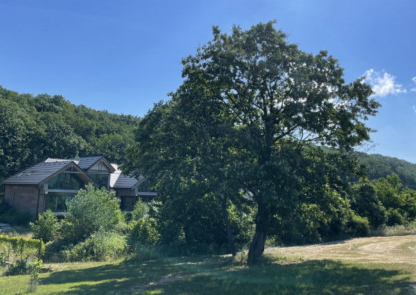 Nadštandardná nehnuteľnosť v krásnom tichom prostredí Malých Karpát.