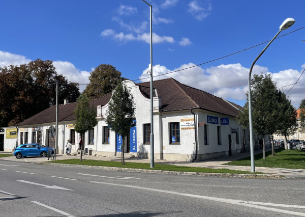 Lukratívny nebytový priestor v centre Trnavy , Zelený kríček